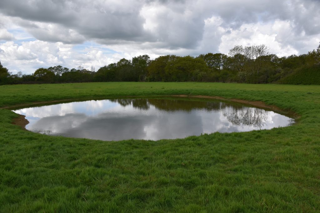 Pond, scrape and wetland creation and restoration