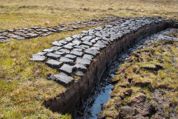 Peat (turf) cut and left to dry on a wetland in the Scottish Highlands