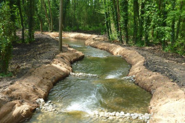 Water Restoration Fund: Grants Available